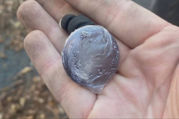 Renton police send out warning after recent stalking cases using AirTags - KIRO Seattle