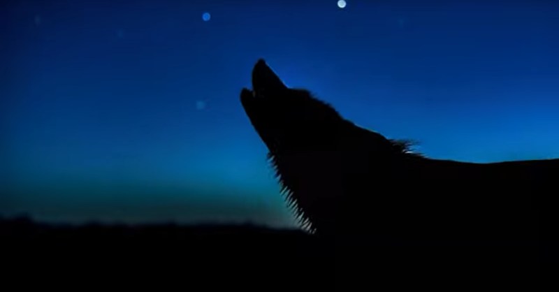 Google’s new video-to-audio generator watches pixels to create soundtracks