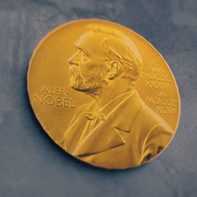 Nobel Prize for Physics 2024